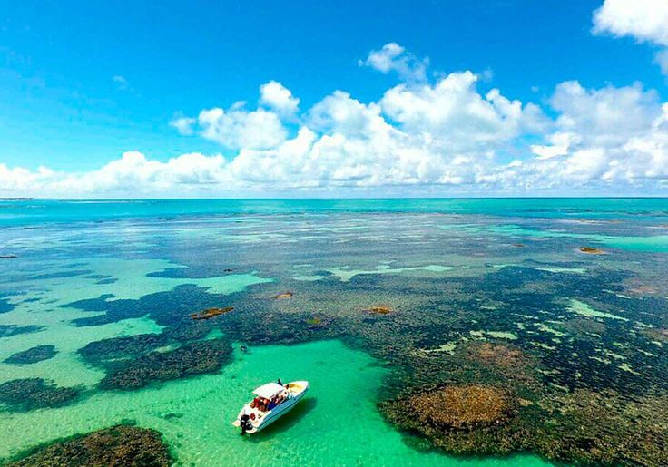 PRAIA DE PARIPUEIRA - Vista tropical
